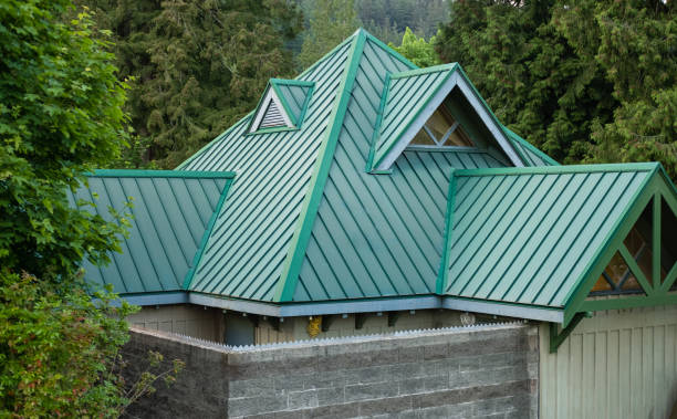 Best Roof Moss and Algae Removal  in Zion, PA